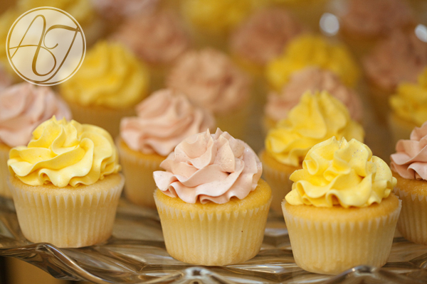 Ashlea Terhune - Wedding Photographer 29