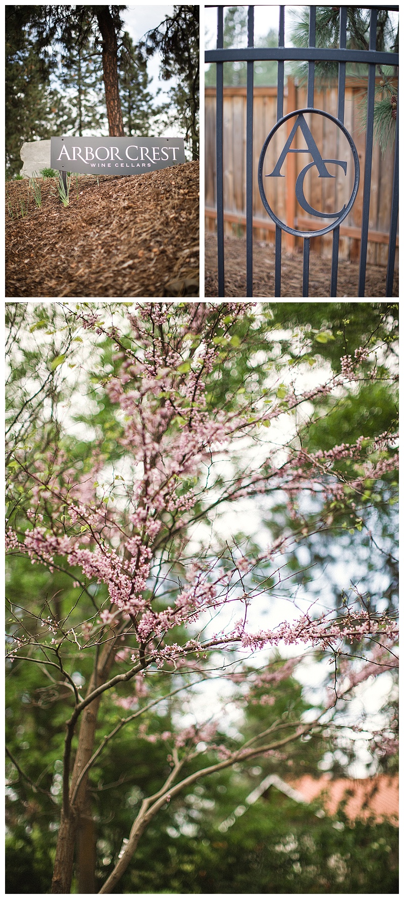 Spokane Wedding Photographer - Arbor Crest 1