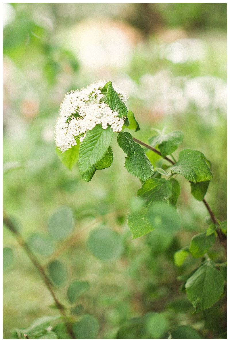 Spokane Wedding Photographer - Arbor Crest Winery 19