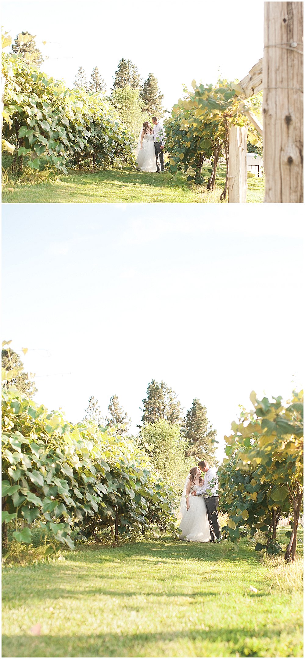 Beacon Hill Wedding Spokane Wedding Photographer 36.jpg