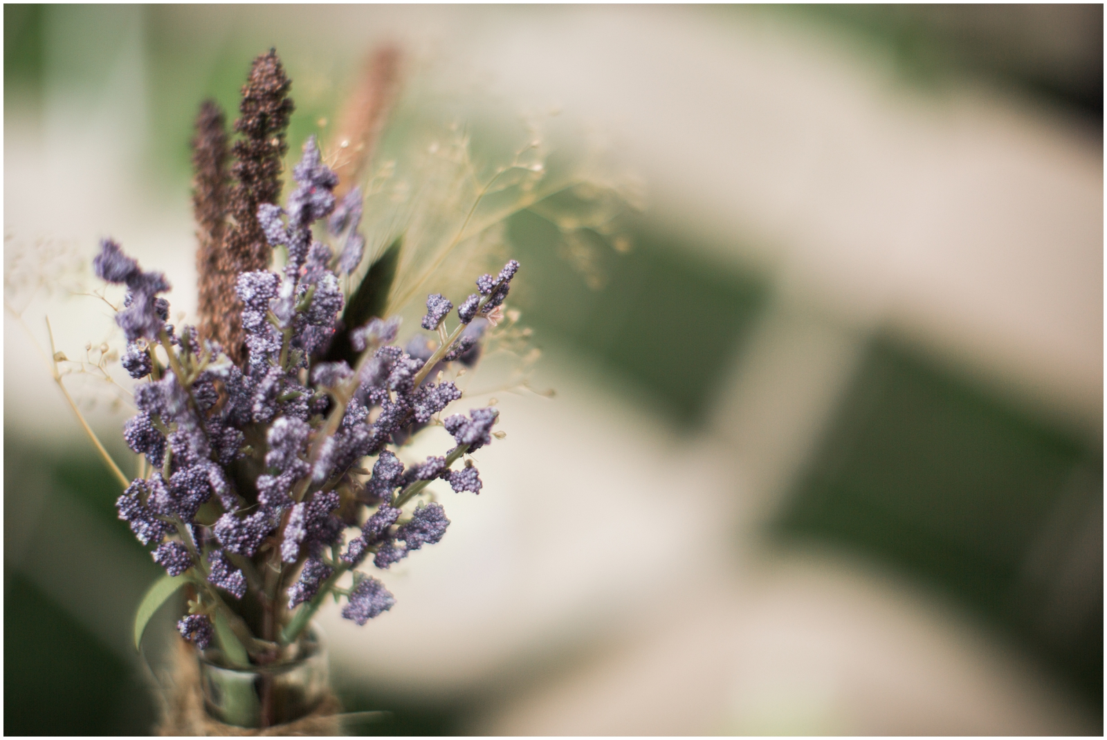 Ashlea Terhune Photography_0121.jpg