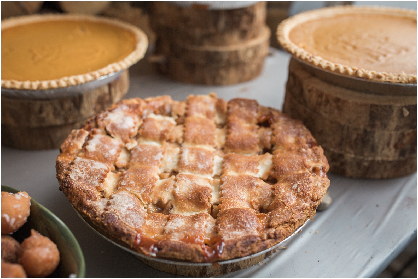 Ashlea Terhune Photography_0135.jpg