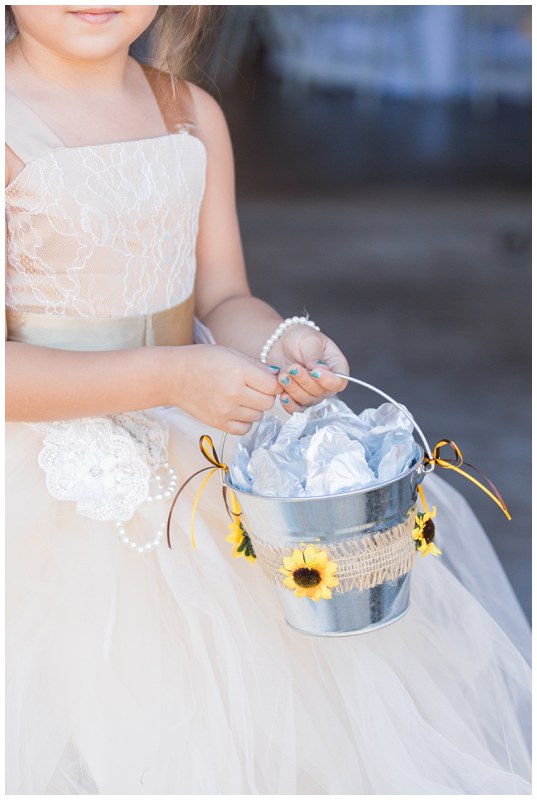 wagon wheel Dover Ashlea Terhune 23.jpg