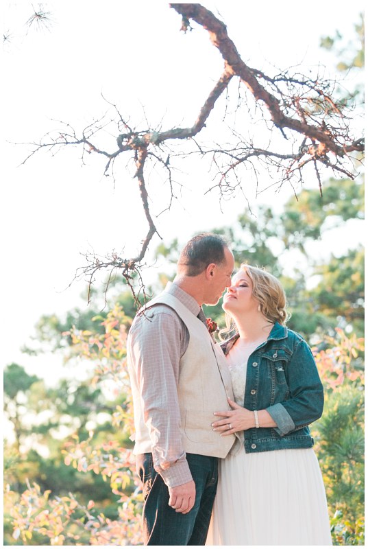 wagon wheel Dover Ashlea Terhune 41.jpg