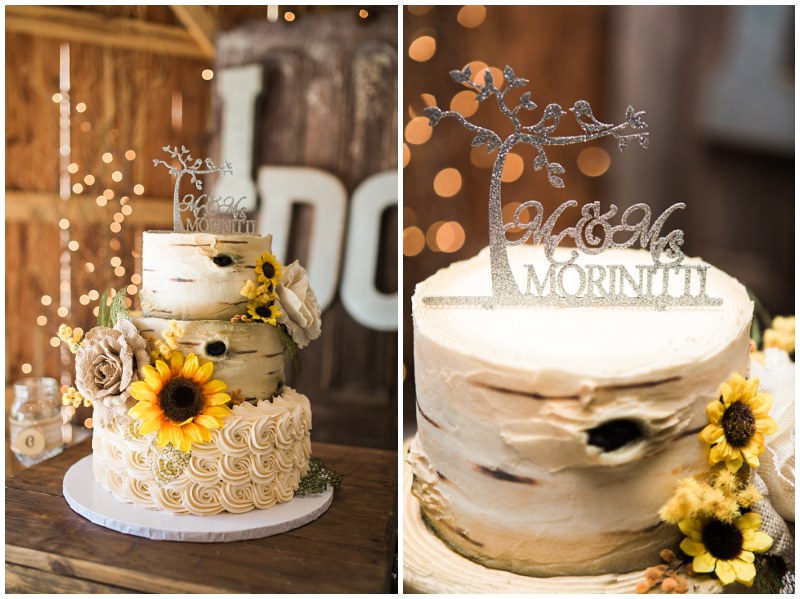 wagon wheel Dover Ashlea Terhune 57.jpg